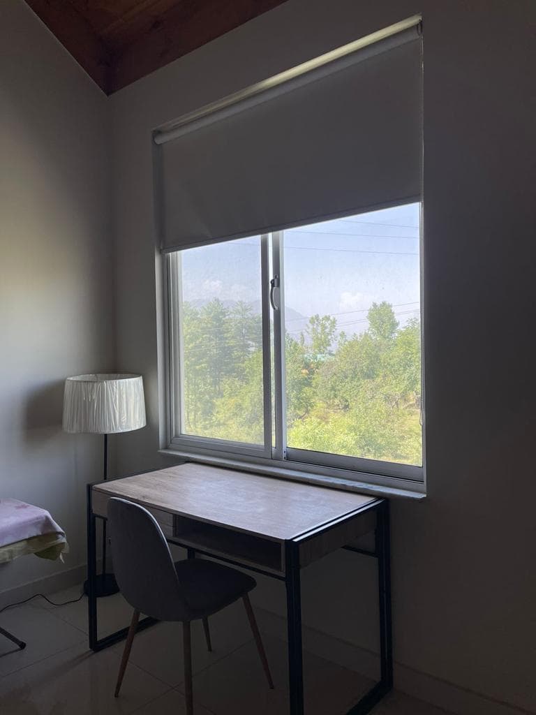 STUDY — pine forest mountain view study nook